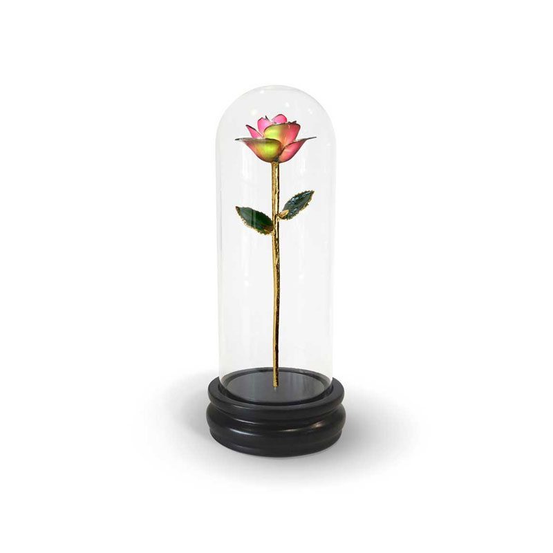 Lunar Rainbow Rose Gifts with Premium Glass Dome - Infinity Rose USA