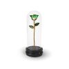 Green Two Tone Rose Gifts with Premium Glass Dome - Infinity Rose USA