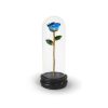 Light Blue Two Tone Rose Gifts with Premium Glass Dome - Infinity Rose USA