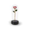 Pink Two Tone Rose Gifts with Premium Glass Dome - Infinity Rose USA