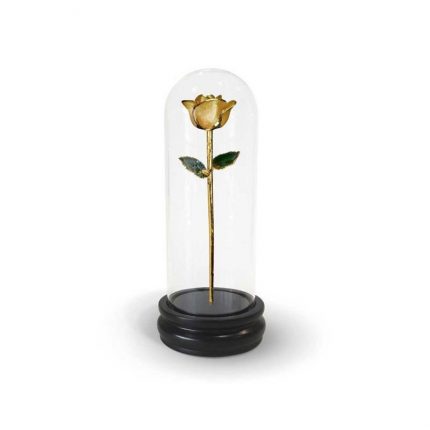 Yellow Two Tone Rose Gifts with Premium Glass Dome - Infinity Rose USA